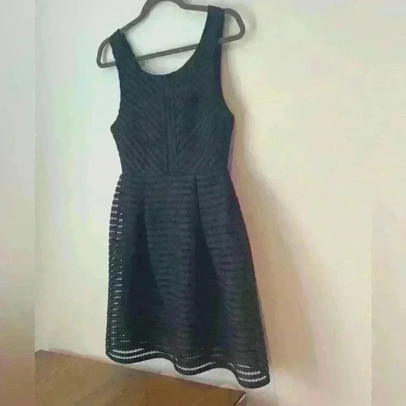 Everly Black Dress with Lace Pattern and Gold Zipper in Back Lined Size Small - Picture 8 of 16